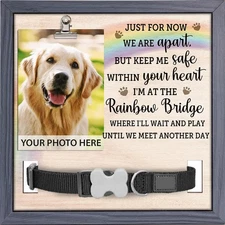 Pawfect House 9x9 Pet Memorial Frame Dog Cat Collar Holder Bereavement Gift