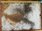 Antique Metropolitan Coal Company Porcelain Sign Circa 1910 (?) Advertisement — photo 3