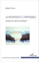 La MéTaphore Et L'improbable Michel Dubois