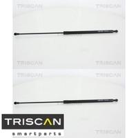 2X Gasfeder FüR Koffer-/Laderaum Triscan 871028243 DäMpfer GasdäMpfer