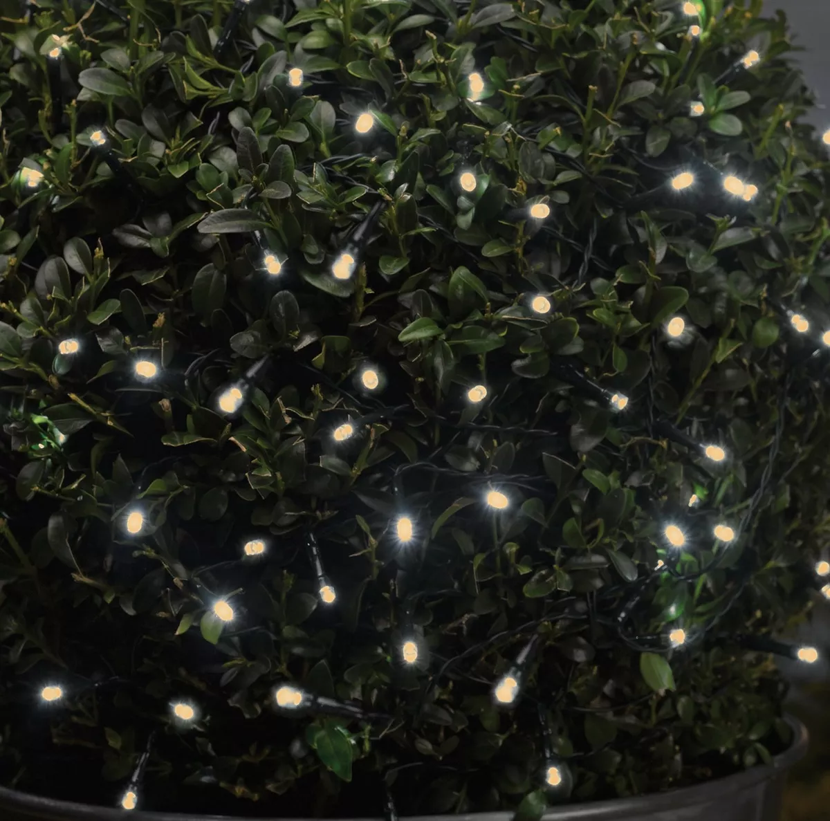 Warm white outdoor battery operated sales lights