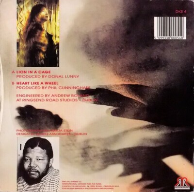 DOLORES KEANE ~ Lion in a cage (Nelson Mandela) 7