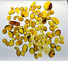 A101 BU99group 99 polished stones w/insects 177g Burmese Amber Burmite 99mya