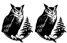 Great Horned Owl 6" Black Vinyl Decal Car Truck Window Laptop Tablet Tumbler