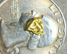 PURE GOLD NUGGET ALASKA YUKON BC NATURAL SMALL ROCK HAND PICKED RAW FINE .3g 22k 6422.87 per troy oz