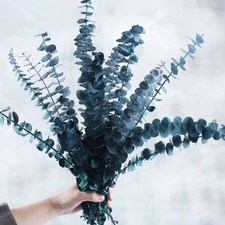Preserved Dried Eucalyptus Stems Bundle - 12 PCS Pine Green 12, 