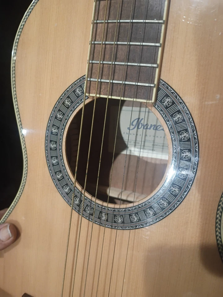 Guitarra Acústica Ibanez Serie PN, Poro Abierto Marrón Sunburst Foto 2 de 3