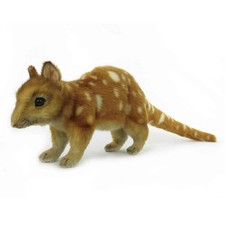 57cm L Hansa Australia Quoll Hand-crafted Realistic Cuddly Soft Animal Plush Toy