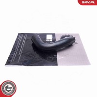 Esen SKV Ladeluftschlauch 24SKV569 FüR Fiat Bravo 2 Multijet 198AXH1B 198AXL1B 3