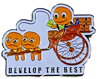 Develop the best Learning Principle #6 AMAZON PECCY PIN