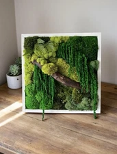 Nature & Moss Art -Wall Hanging Framed
