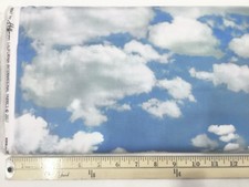 Hoffman Wide Open Spaces Sky Fabric  P4395 - Per Yard