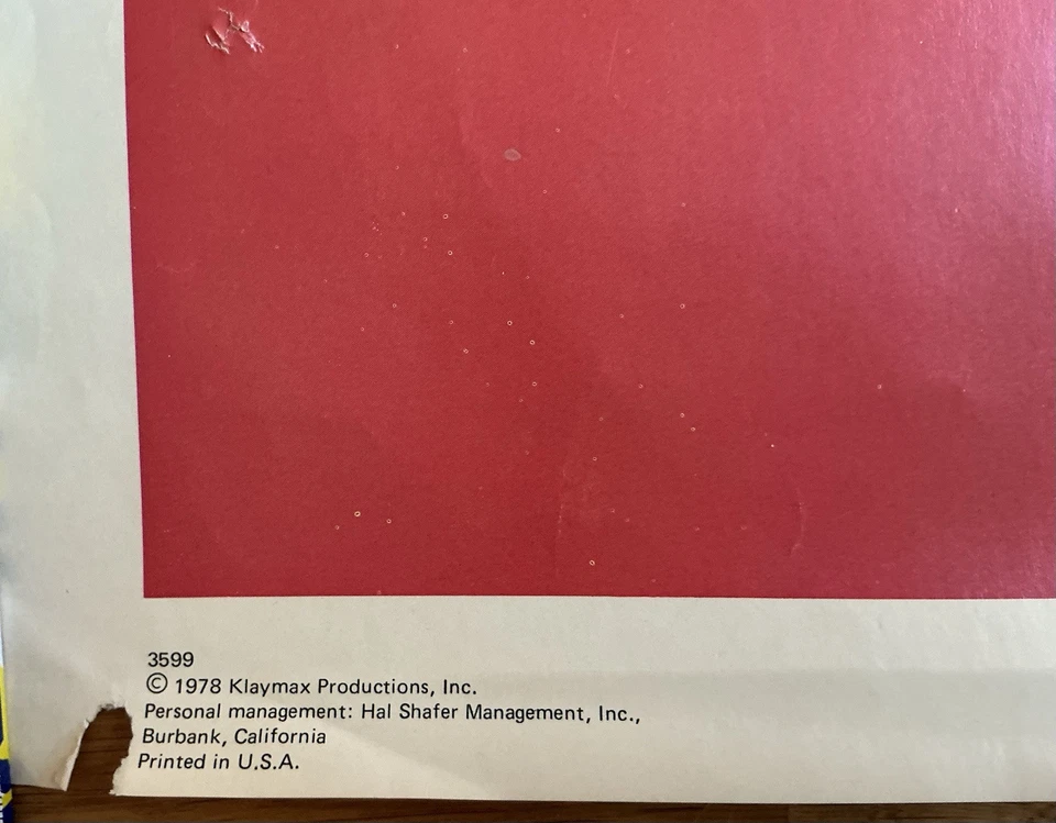 Loni Anderson Plakat Poster Extra Groß Original USA 70er 80er Jahre Pin Up Girl - Bild 3 von 3