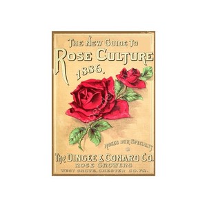 Table Top Gardening Decor, Antique Seed Pack Style 5" x 7" Print, Gardener Gift