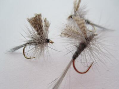 1 DZ D18-2 HENDRICKSON DARK (SECECT SIZE) DRY FLY