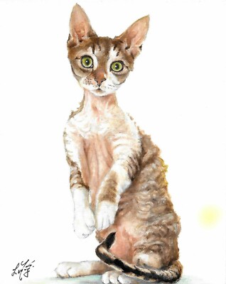   ORIGINAL Oil Portrait Painting DEVON REX BROWN MACKEREL Tabby Cat Signed Art