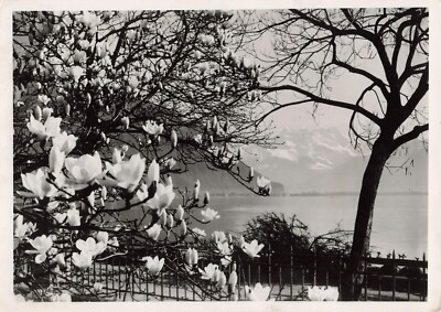 Lake Geneva in Spring 1938 Press Photo 5x7 Montreux Switzerland *P104a
