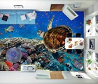 Bild 2 von 5