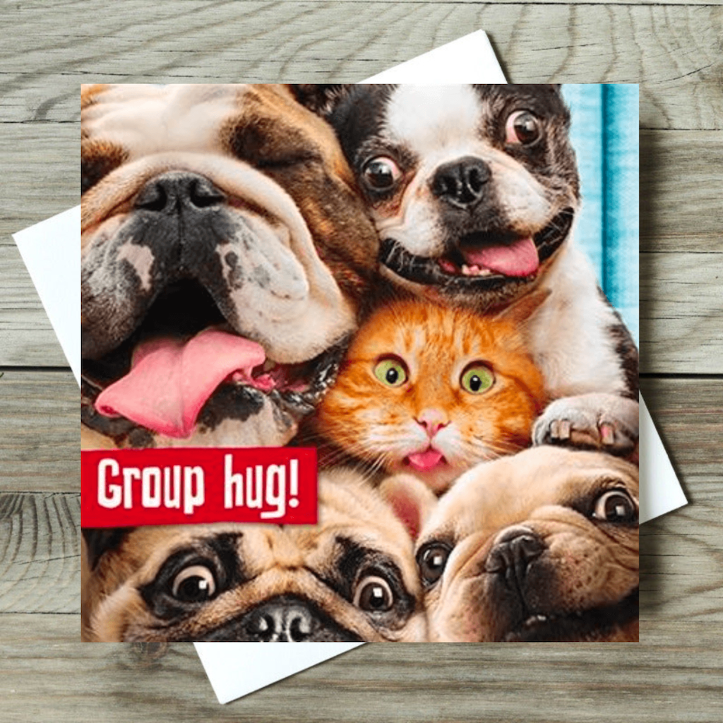 Funny Cat & Dogs 21st Birthday Card Group Hug Greeting Ginger Cats Humorous Cats