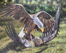 “Raptors Dispute” - Original Canadian Bald Eagle Painting | Oil on 16x20 Canvas