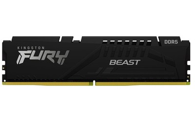 16GB Kingston DDR5-5600 FURY Beast 1x 16GB CL40 DDR5 RAM schwarz
