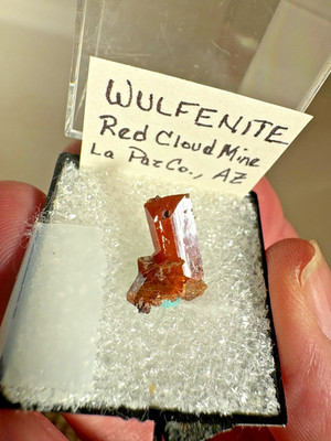 Wulfenite, elongated xtl, great color, Red Cloud mine, AZ, USA, thumbnail