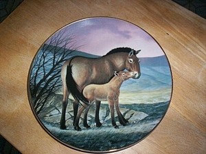 Pyzewalski's Horse Plate by Will Nelson #1100A Mare & Foal Endangered Species