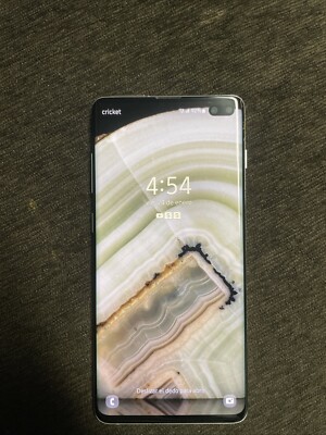 Samsung S10+ with tiktok