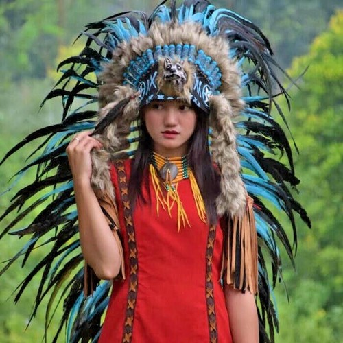 Wolf Indian Headdress Feather Long 