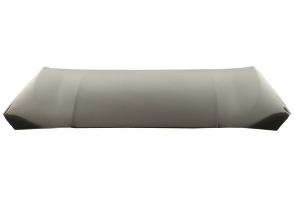 BLIC 6803-00-0073280AP Bonnet for BMW
