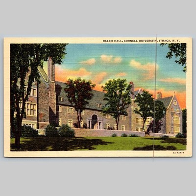 Postcard Balch Hall Cornell University Ithaca NY Architecture