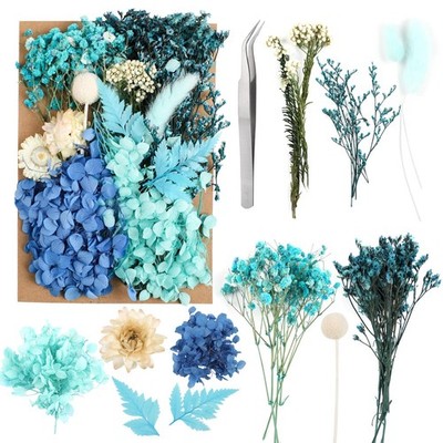 JOFONY Dried Flowers,Dried Flowers Set for DIY Scrapbook Multi Color