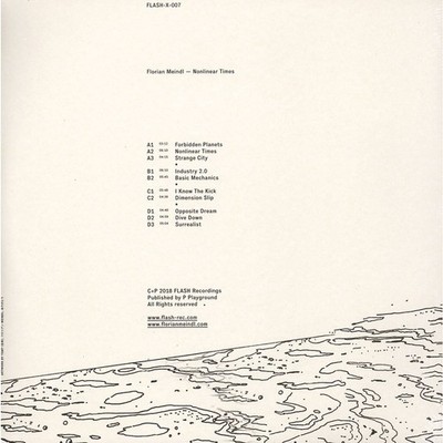 Florian Meindl - Nonlinear Times (Vinyl 12'' - 2019 - EU - Original)