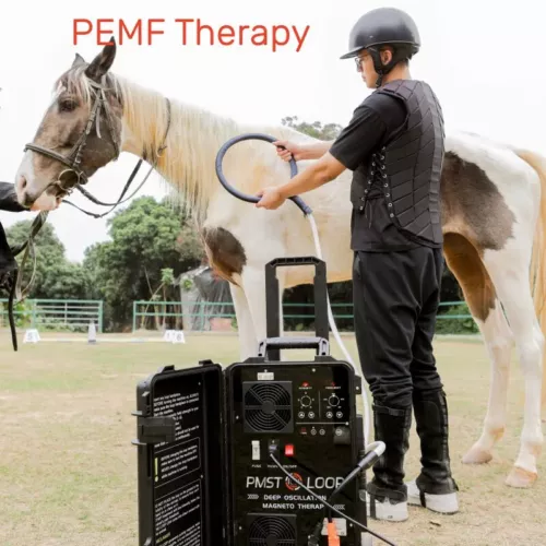 Pmst Loop Pemf Therapy Dogs Horse Solid State Pemf For Vet Pain Relief Machine - Picture 1 of 17