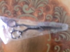 Scissors professional for a hairstyle