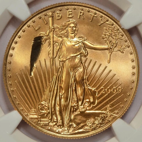 2009 NGC MS69 Struck Thru 1oz Gold Eagle $50 Mint Error "Wind Blown Liberty Cap"