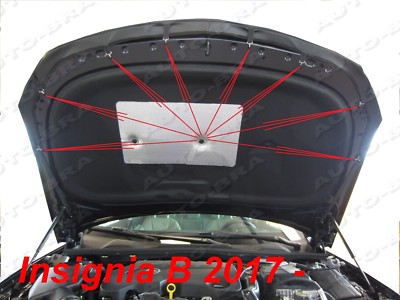 Auto Bra Carbon Optik Für Opel Insignia A 2008-2016 - Steinschlagschutz