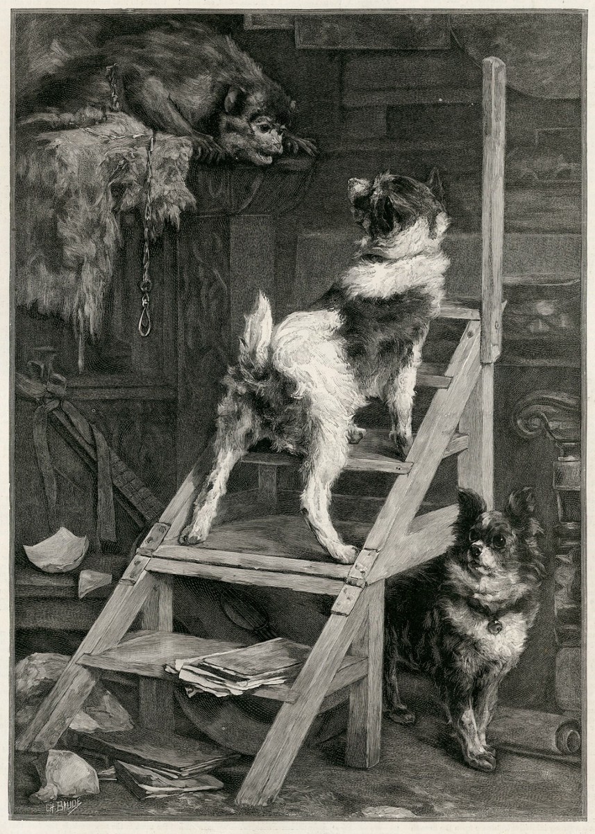 PAPILLON FRENCH BUTTERFLY DOG ANTIQUE ART ENGRAVING PRINT 1895 Van