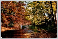 Wensleydale Yorkshire Autumn Scene Stream Golden Foliage England Nature Postcard