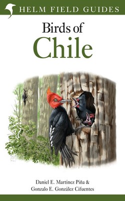 Daniel E. Martinez Pina (u. a.) | Field Guide to the Birds of Chile | Buch