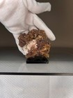 mx#691 Descloizite w. Endlichite Los Lamentos Mountains Mun de Ahumada MX 186g — photo 3