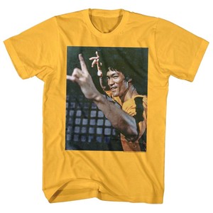 splendid v neck t shirt