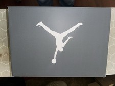 Size 10 - Jordan 6 Retro Low Cool Grey