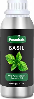 Basil Essential Oil 16 Ounces by Puranicals | 100% Pure & Natural | Undiluted
