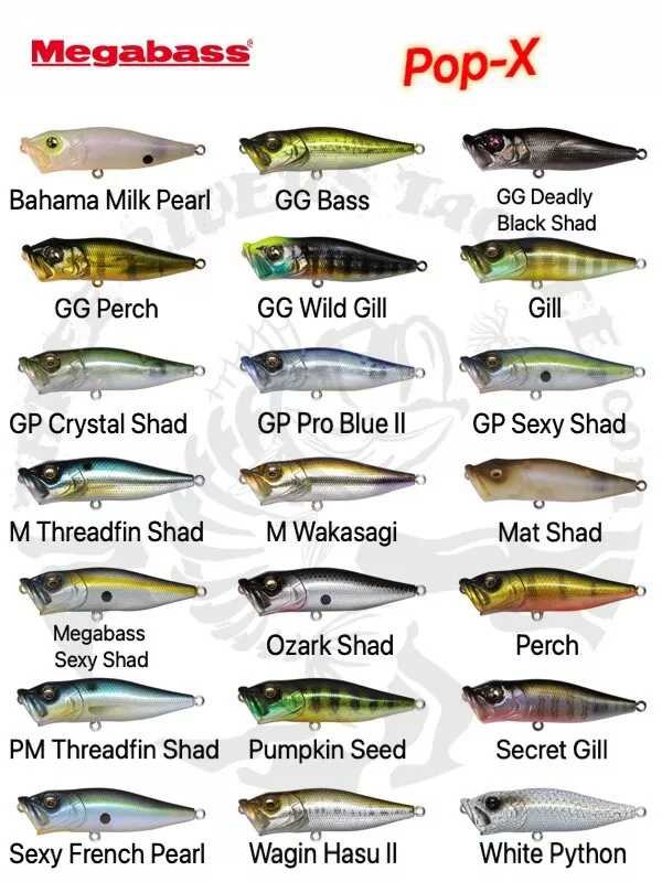 Megabass Pop-X Topwater Popper Sexy Shad