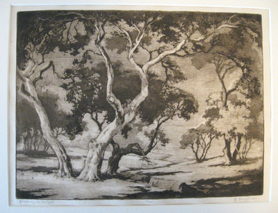 ORPHA MAY KLINKER etching & aquatint , ''Shadows in the Dell'',  c.1944  /  26/100