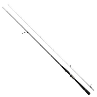 Daiwa Morethan Wisemen AGS 90L 2,74m 5-24g High End Japan Spinnrute