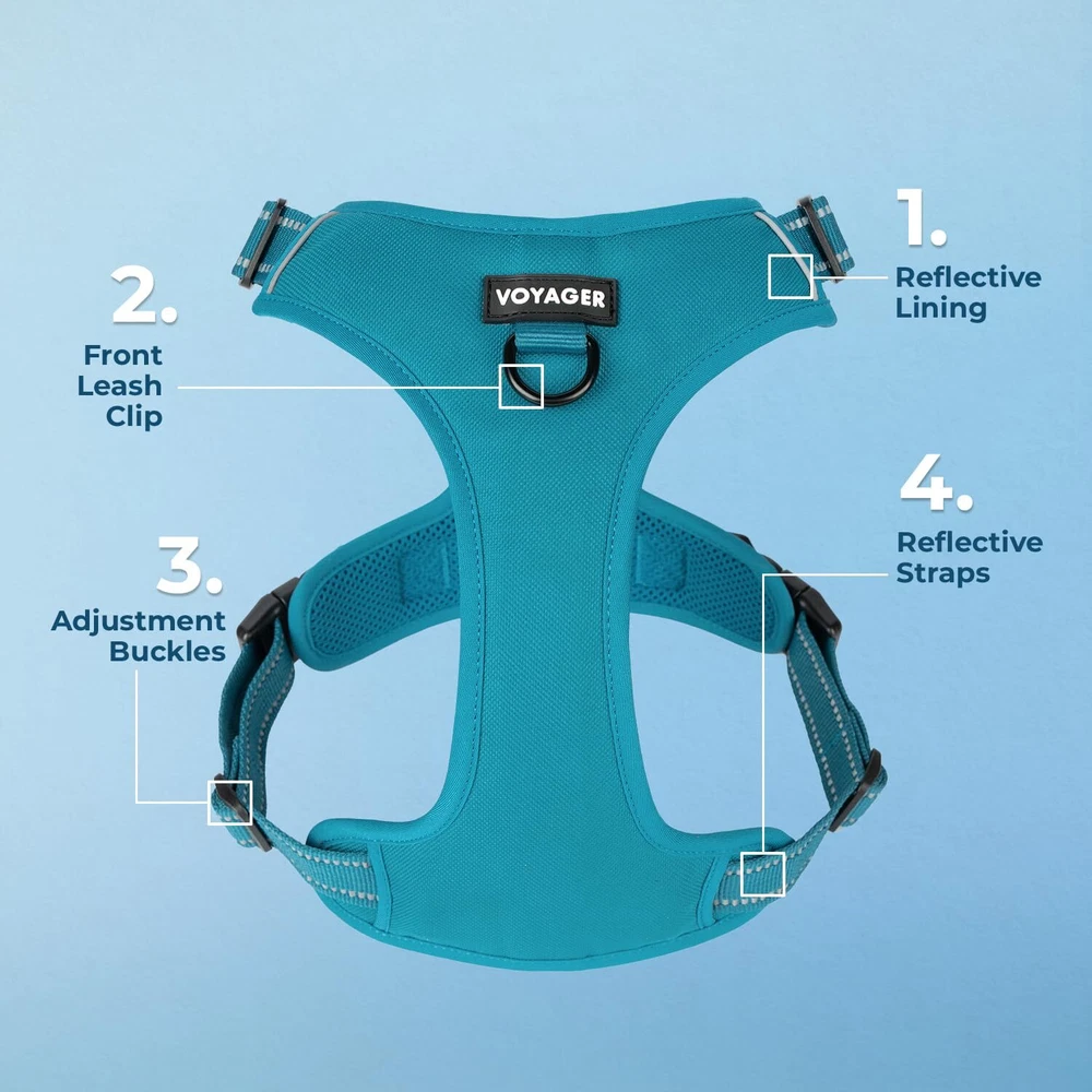 Dog Harness Dual Leash Attachment No-Pull Control Adjustable Soft but Strong ...