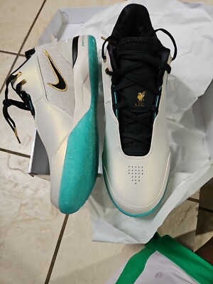 ZM LEBRON NXXT GEN AMPD EP レブロン US12 LeBron NXXT Gen AMPD EP Basketball Shoes. Nike JP
