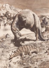 Canadian GORGOSAURUS and SCOLOSAURUS Sepia Color Print By Z Burian 1963 VF 9x13"